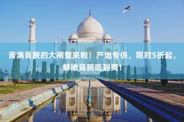 膏满膏腴的大闸蟹来啦！产地专供，限时5折起，鲜嫩膏腴吃到爽！