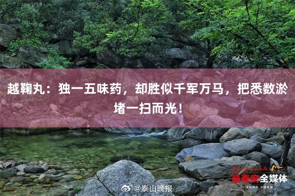 越鞠丸：独一五味药，却胜似千军万马，把悉数淤堵一扫而光！