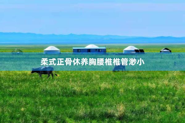 柔式正骨休养胸腰椎椎管渺小
