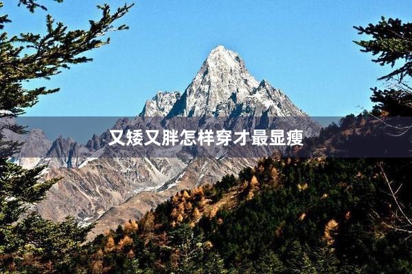 又矮又胖怎样穿才最显瘦
