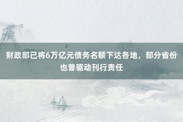 财政部已将6万亿元债务名额下达各地，部分省份也曾驱动刊行责任