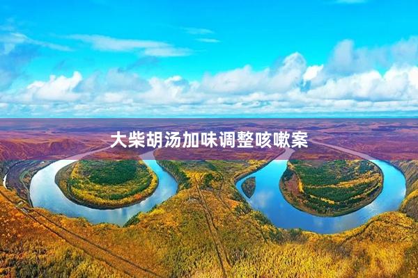 大柴胡汤加味调整咳嗽案