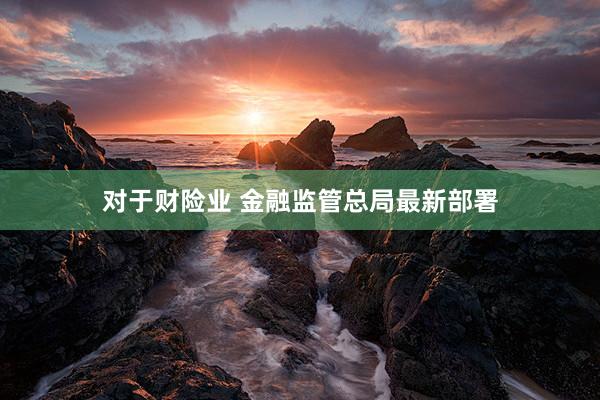 对于财险业 金融监管总局最新部署