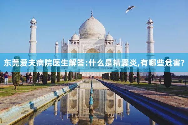 东莞爱夫病院医生解答:什么是精囊炎,有哪些危害?